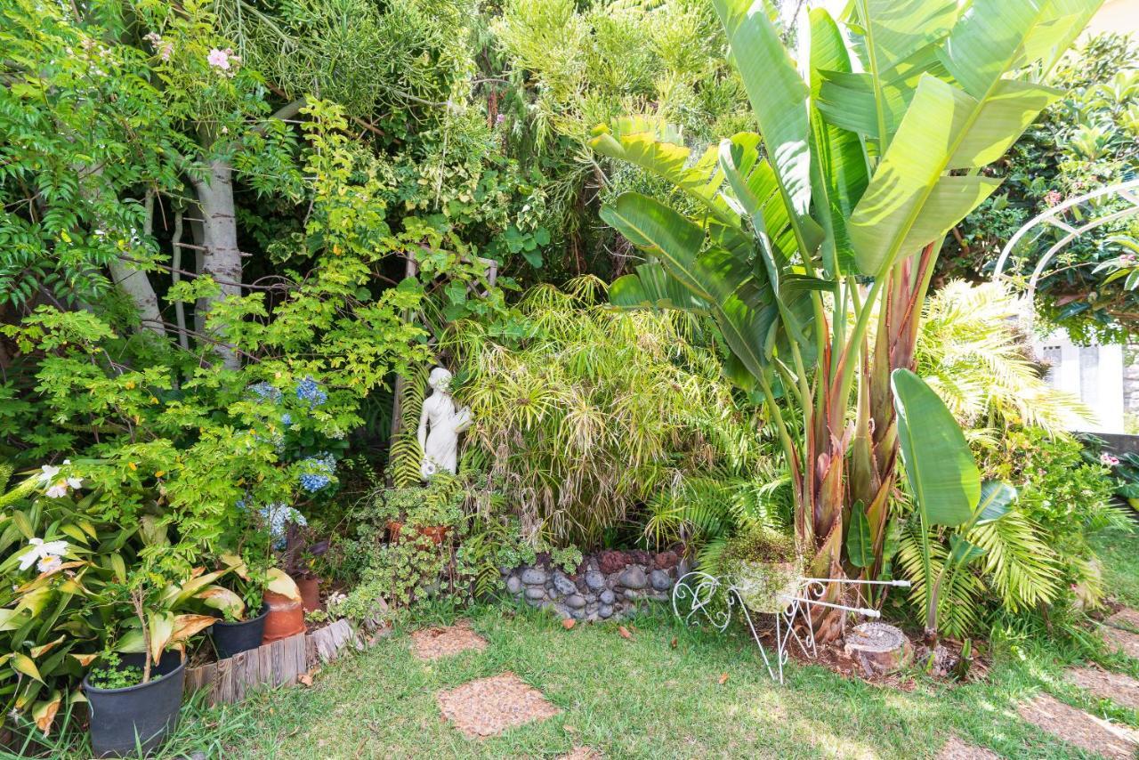 Cyane & Vigo'S Cottage, Caminho Do Massapez, N.º40 Arco da Calheta  Exterior photo