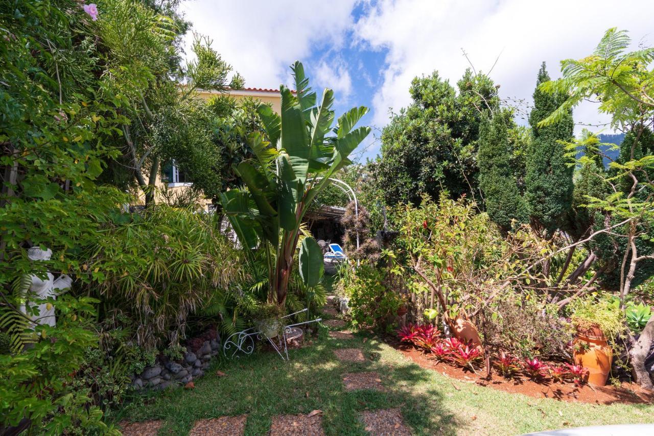 Cyane & Vigo'S Cottage, Caminho Do Massapez, N.º40 Arco da Calheta  Exterior photo